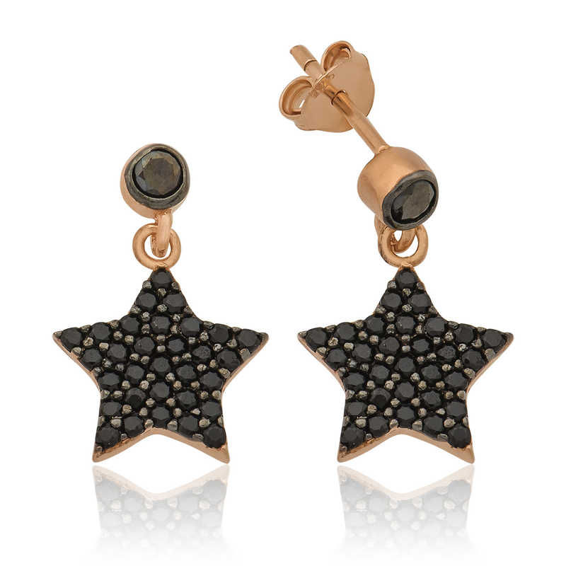 Silver Star Earrings