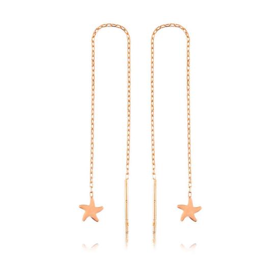 Gümüş Zincirli Deniz Yıldızı Küpe