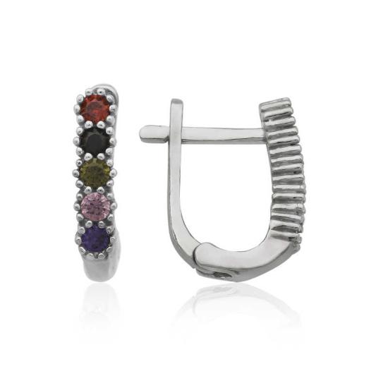 Silver Colored Earrings